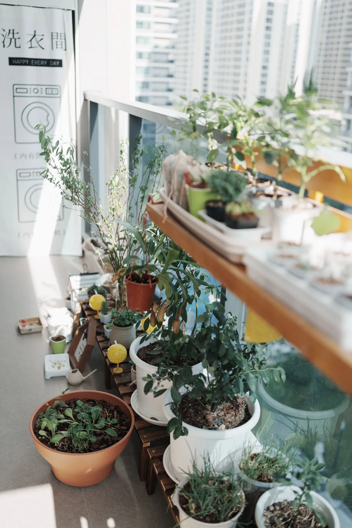 Balcón con varias macetas de hierbas y plantas