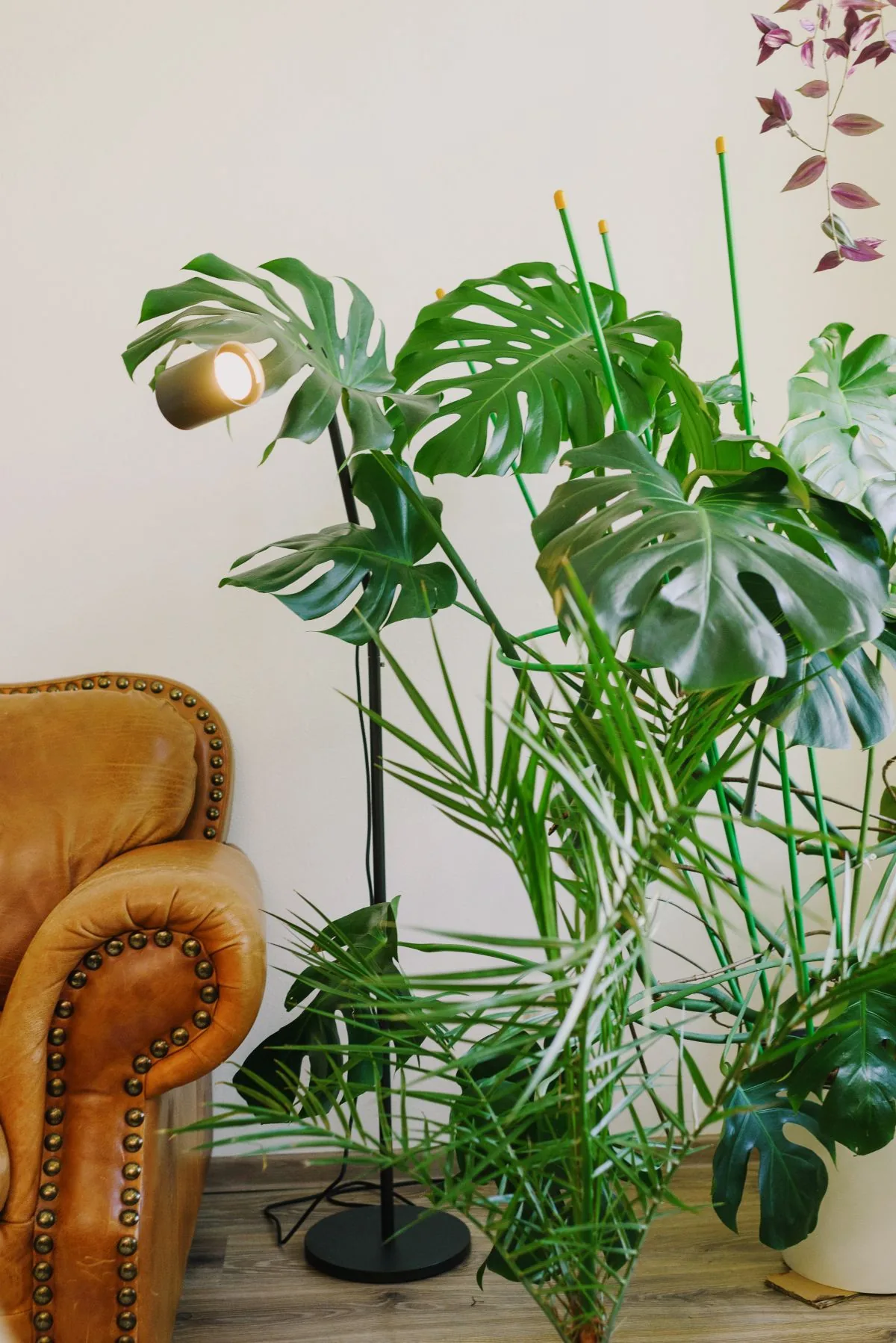 Plantas grandes de interior junto a una lámpara de pie en un salón moderno